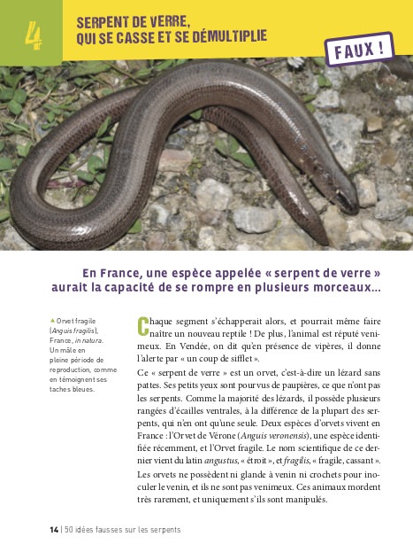 shop-livre-50-idees-fausss-sur-les-serpents-4