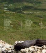 shop-livres-dans-la-peau-des-serpents-de-france-2