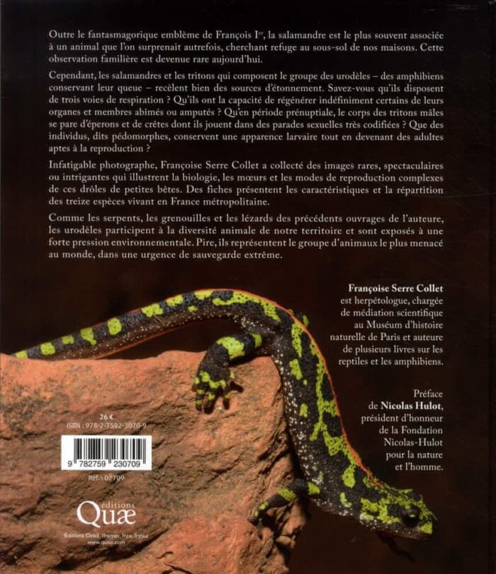 shop-livres-salamandres-tritons-cie-978275923071-couv4