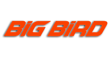 bigbird1
