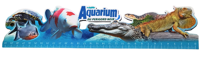 Capture d’écran 2025-11-12 à 15.40.03