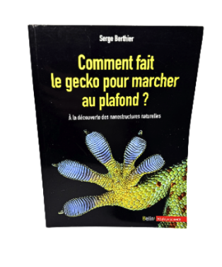 Comment fait le gecko pour marcher au plafond ?