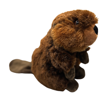 Peluche :<br> Myocastors